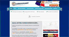 Desktop Screenshot of breigigant.com